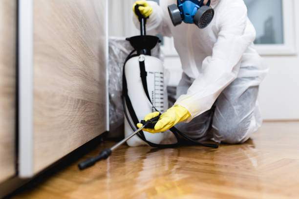Best Commercial Pest Control Services  in Rockaway Beach, OR