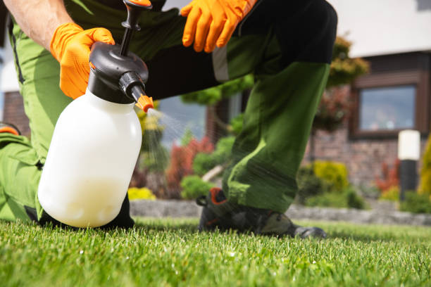 Trusted Rockaway Beach, OR Pest Control Experts