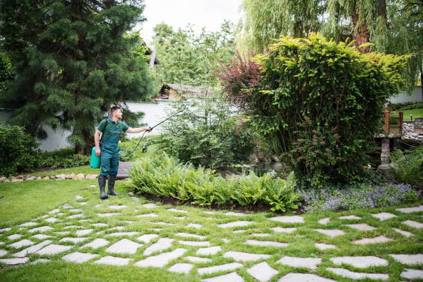 Best Residential Pest Control  in Rockaway Beach, OR