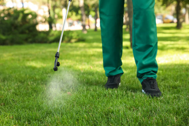 Best Rat Extermination Near Me  in Rockaway Beach, OR