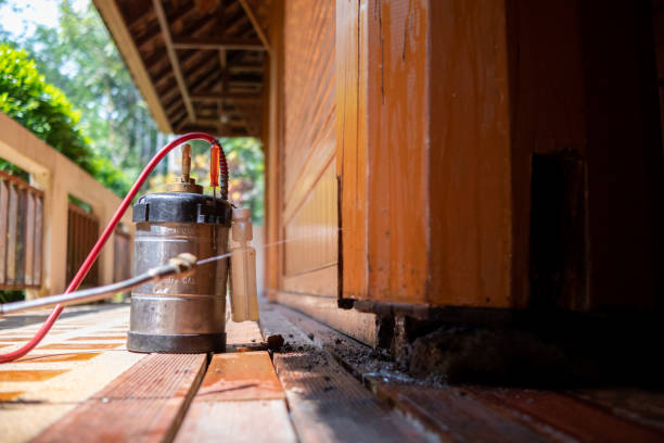 Best Ant Control Services  in Rockaway Beach, OR