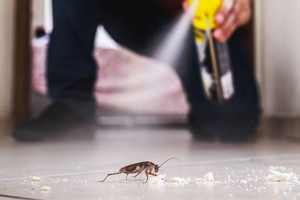 Best Best Pest Control Companies  in Rockaway Beach, OR