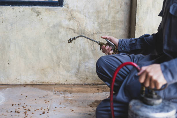 Best Wasp Removal Services  in Rockaway Beach, OR